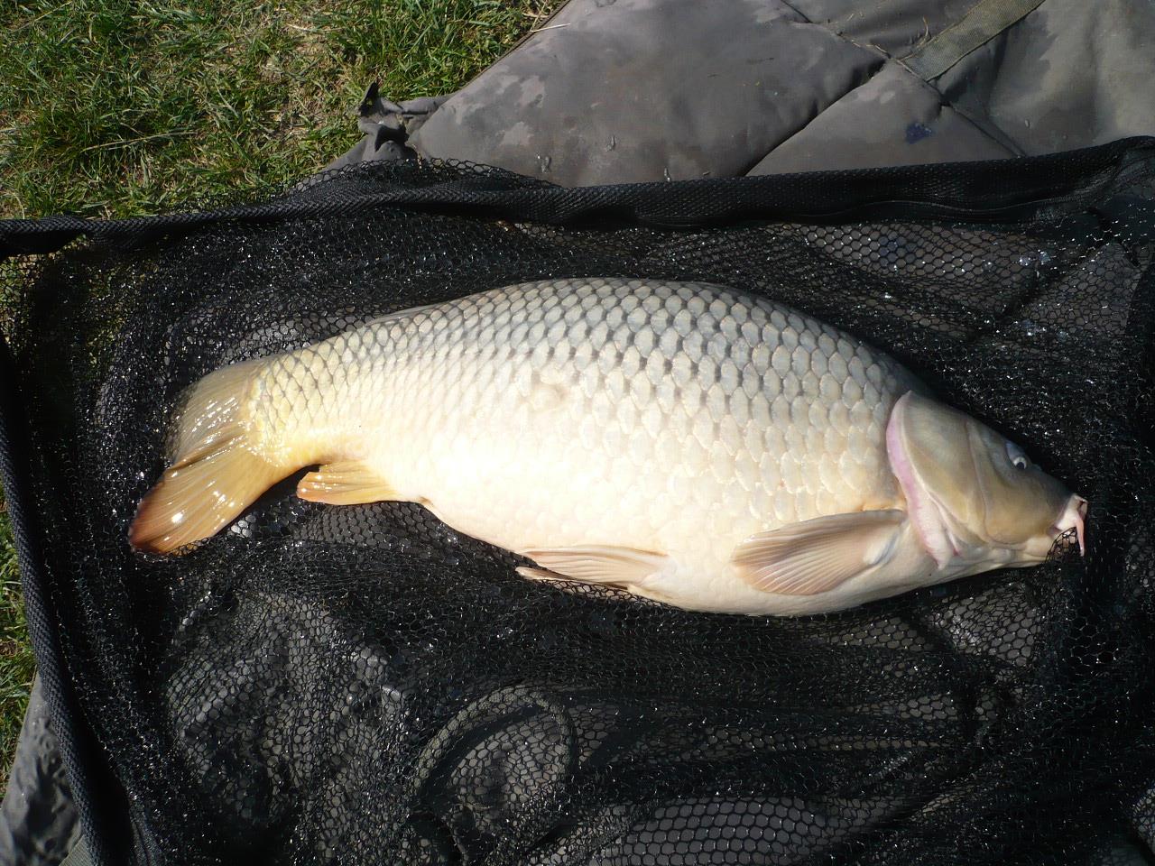 MV 2 - 1.OCT.2014 - p1020870.JPG